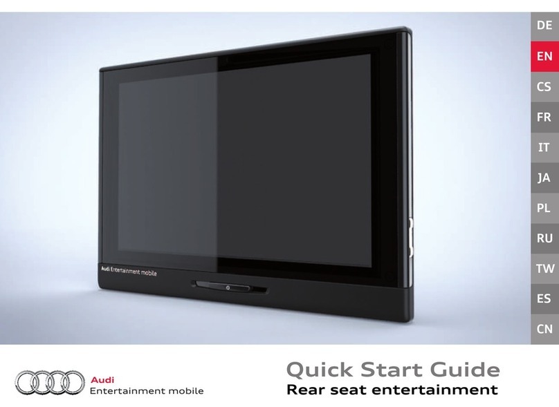Audi RSE III User manual