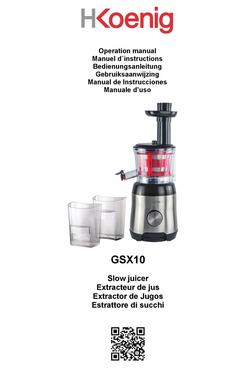 H.Koenig GSX10 User manual