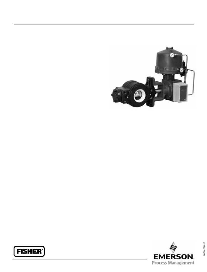 Emerson Fisher V250 User manual