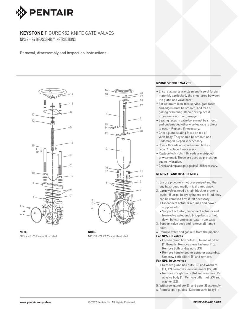 Pentair Keystone Figure 952 NPS 2 Disassembly instructions
