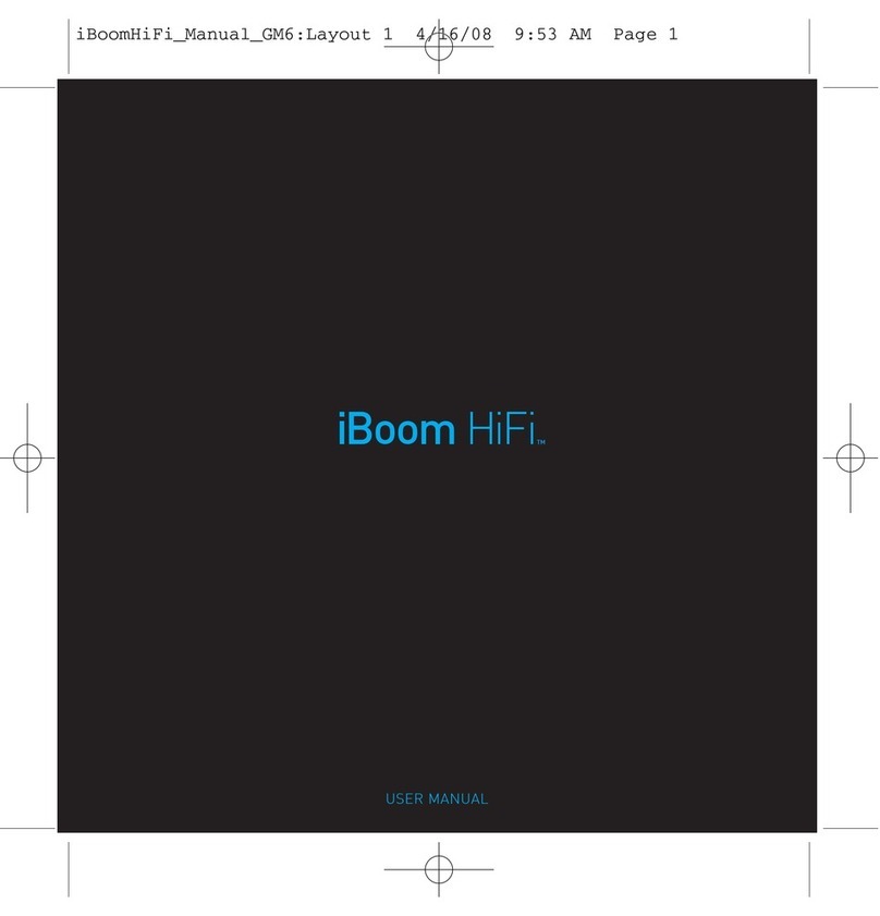 DLO iBoom HiFi user manual