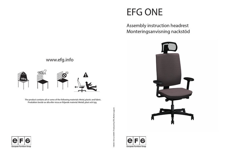 EFG ONE User manual