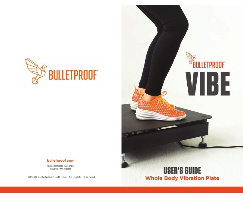 BULLETPROOF VIBE user guide