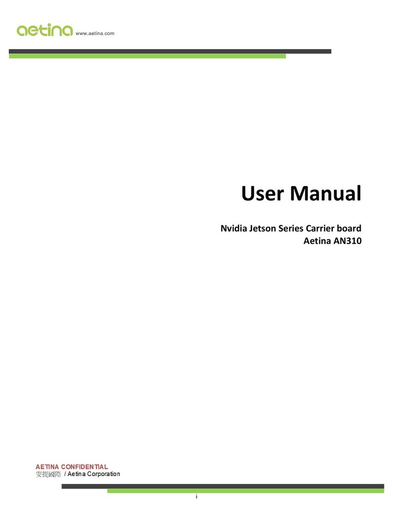 Aetina AN310 User manual