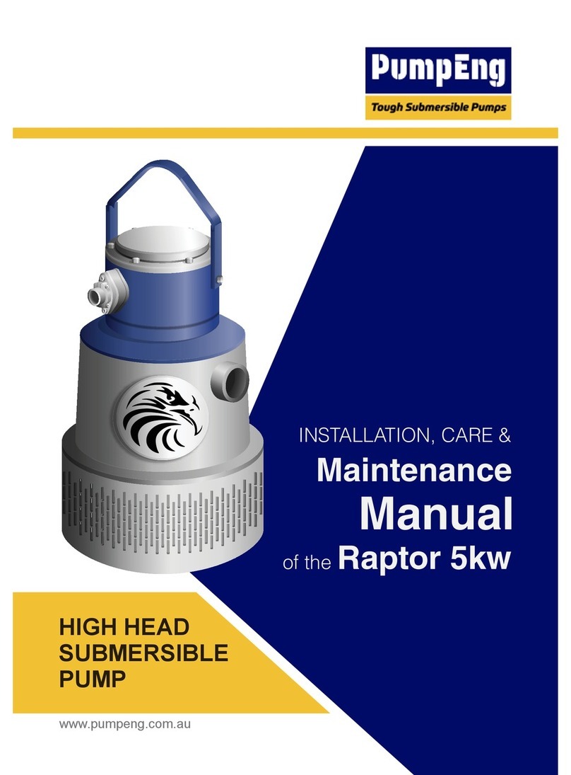 pumpeng Raptor 5kw Installation manual