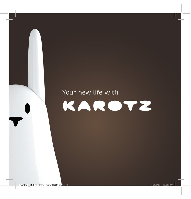 Mindscape Karotz manual