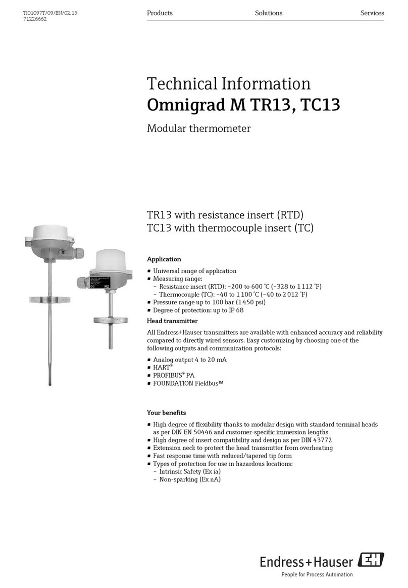 Endress+Hauser Omnigrad M TR13 technical information