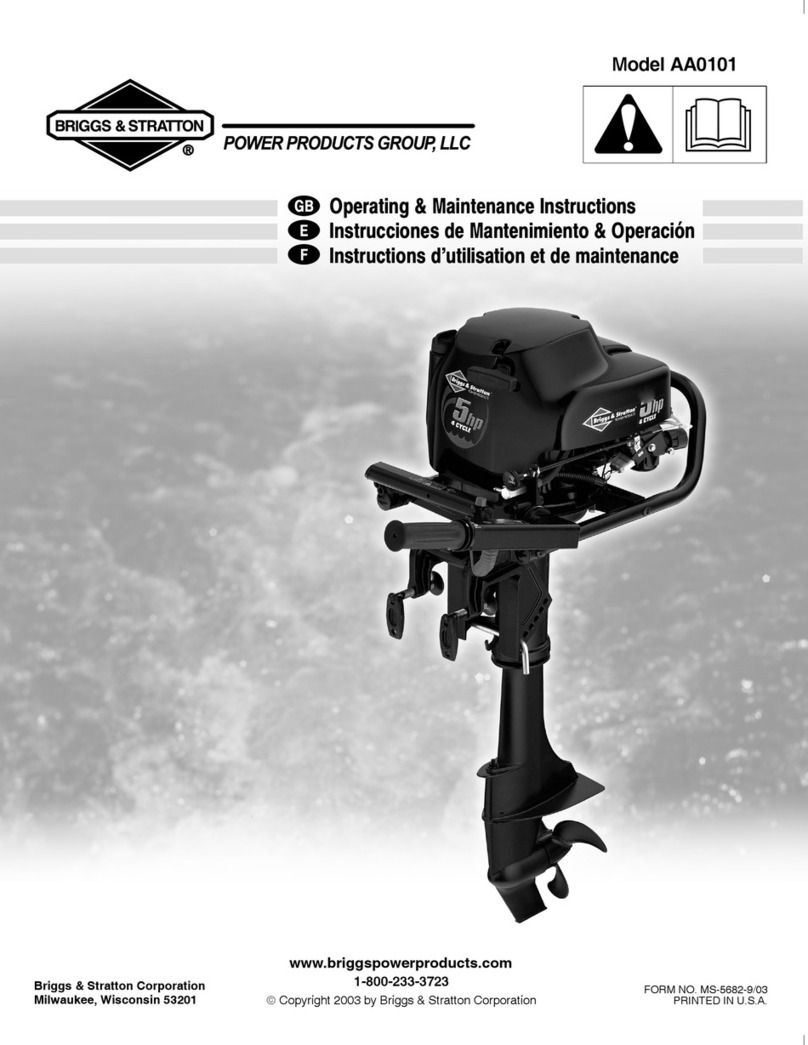 Briggs & Stratton AA0101 Operating & maintenance instructions