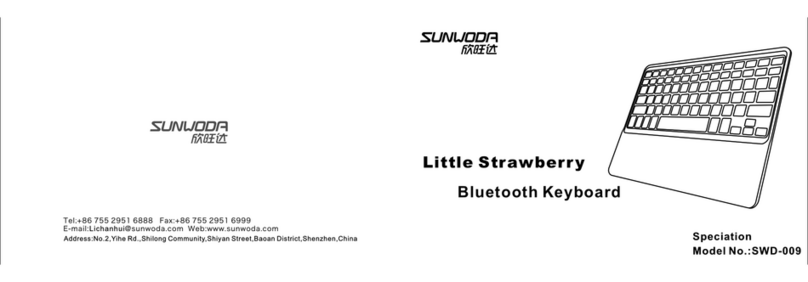 Sunwoda SWD-009 manual