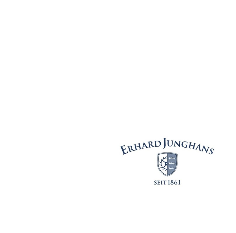Erhard Junghans J890.1 User manual