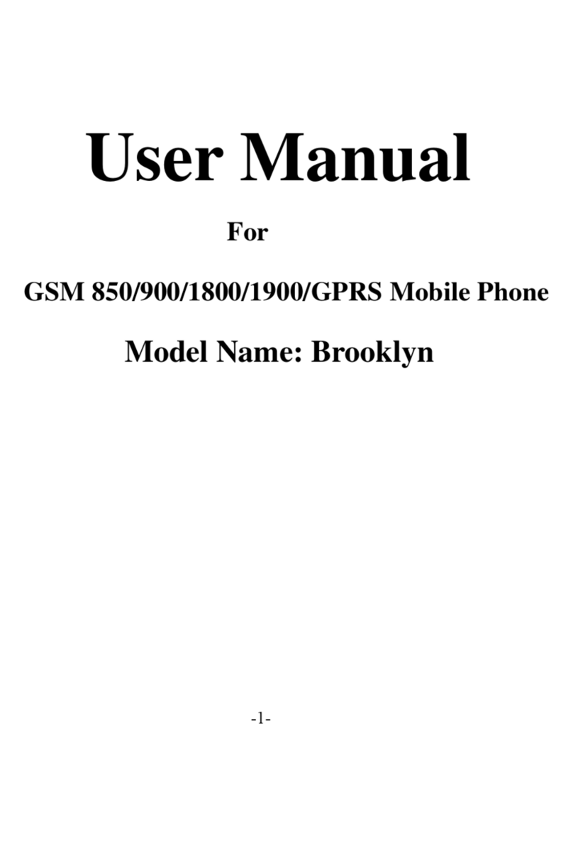 Blu Brooklyn User manual