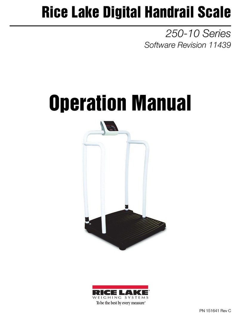 Rice Lake 250-10 Series User manual