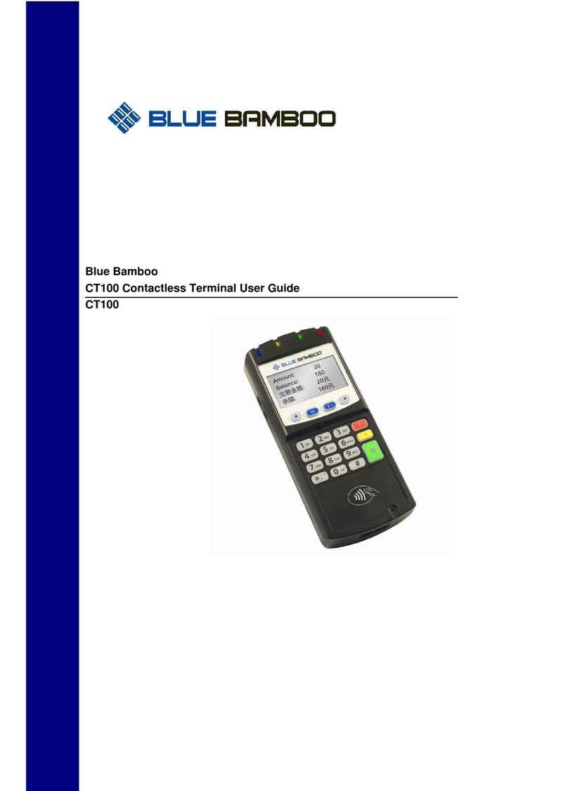 Blue Bamboo CT100 user guide