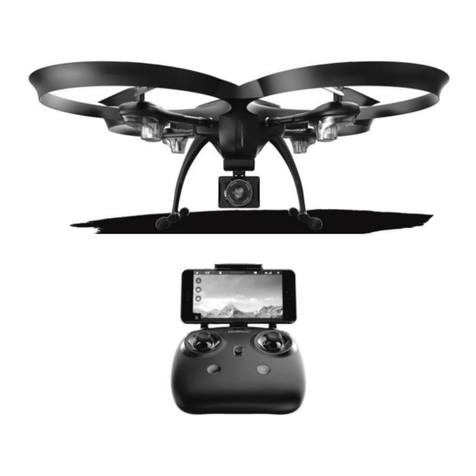 UDI R/C Swan U42 User manual