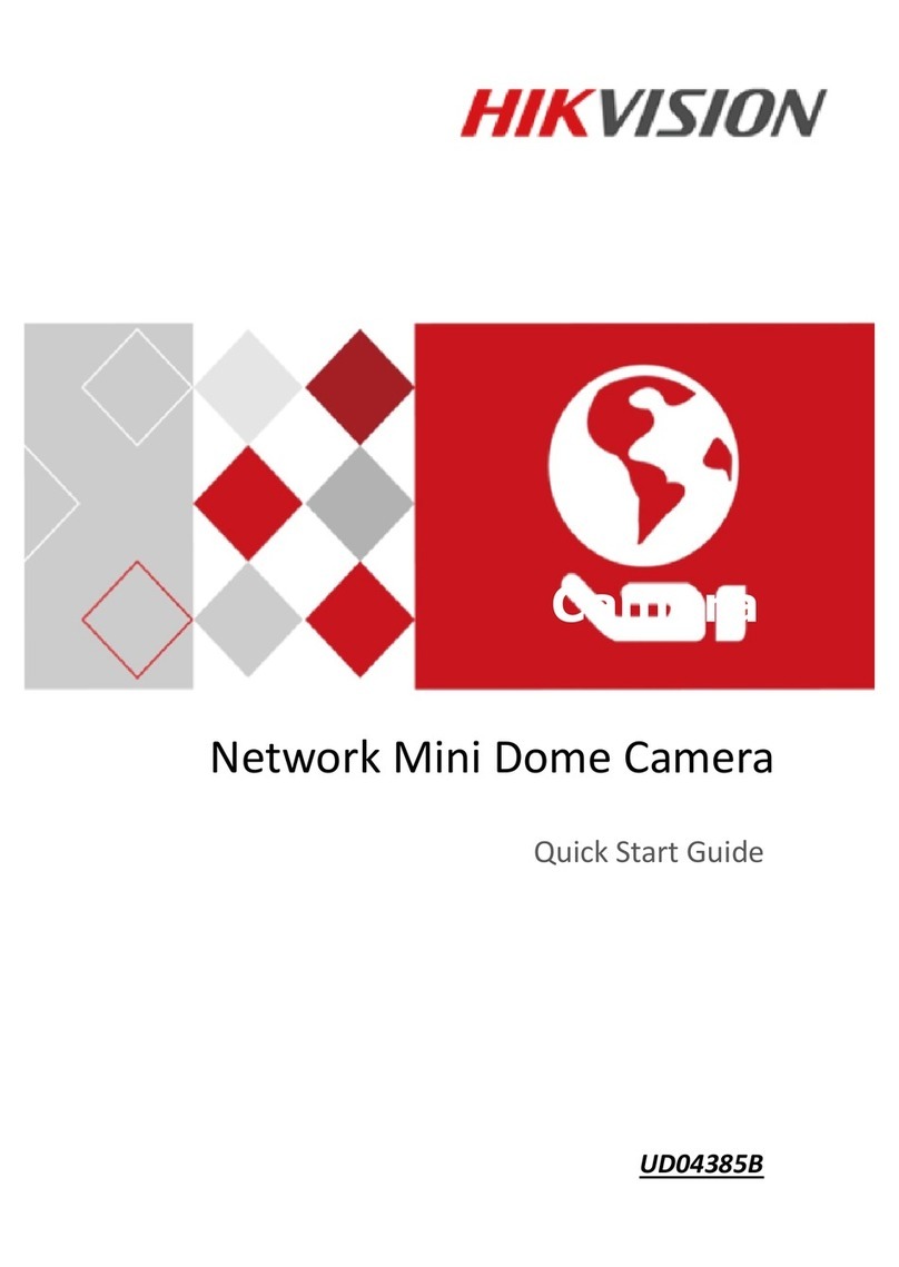 HIK VISION Mini Dome Camera Series User manual