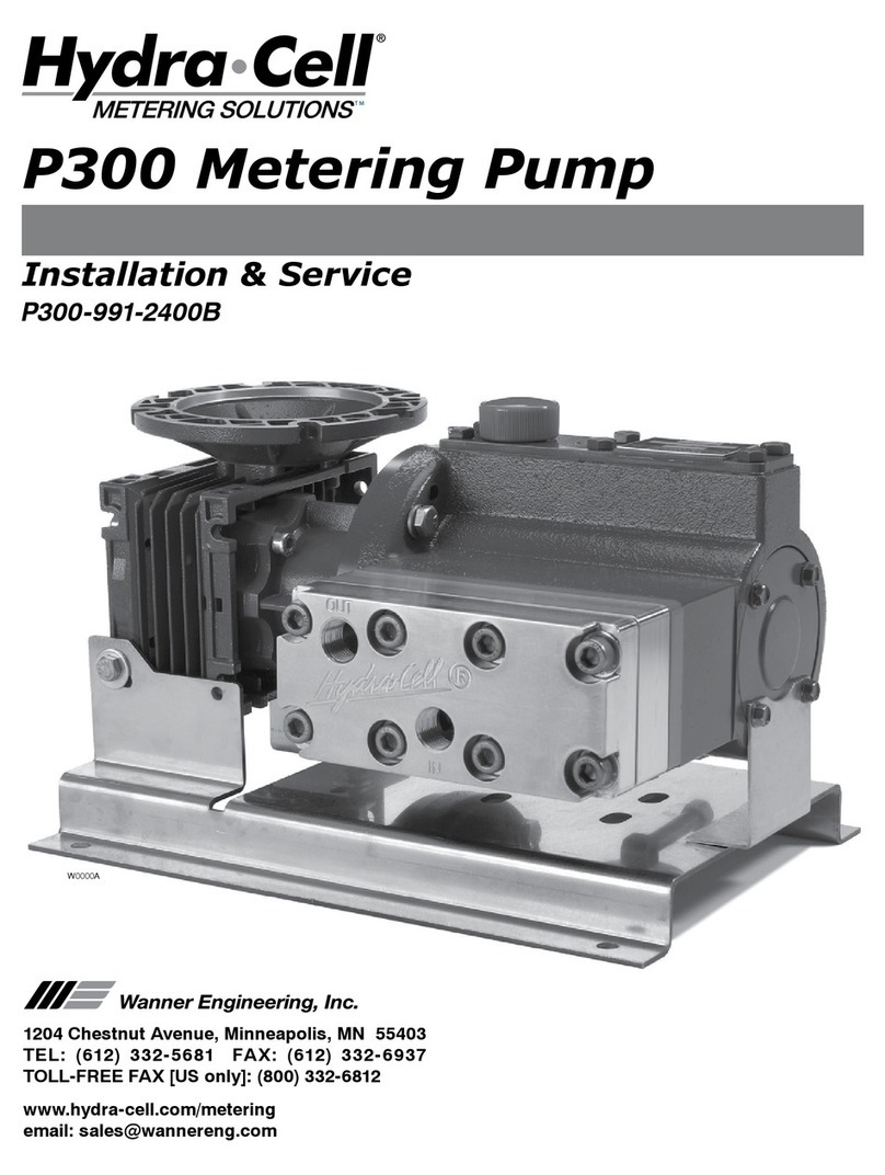 Hydra-Cell P300 Manual