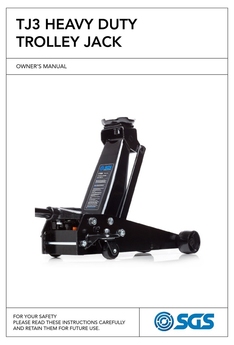 SGS SGS User manual