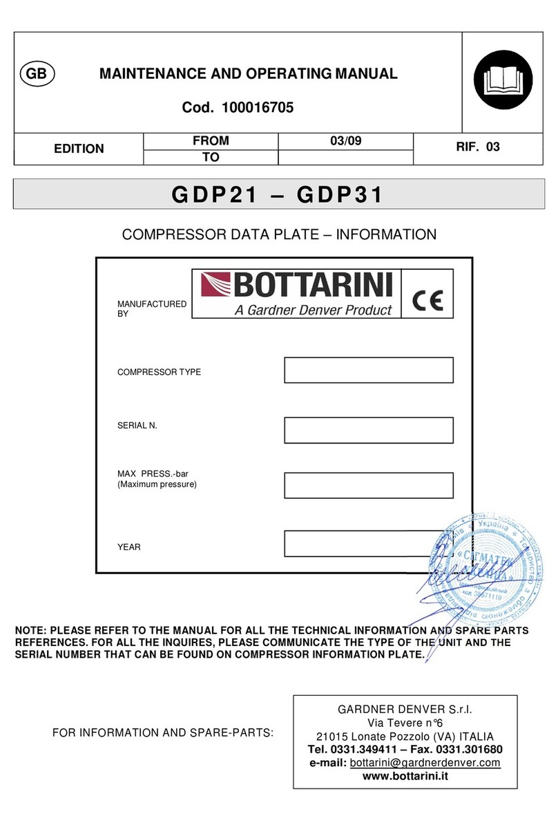 Bottarini GDP21 Maintenance and operating manual Bottarini GDP21 Maintenance and operating manual