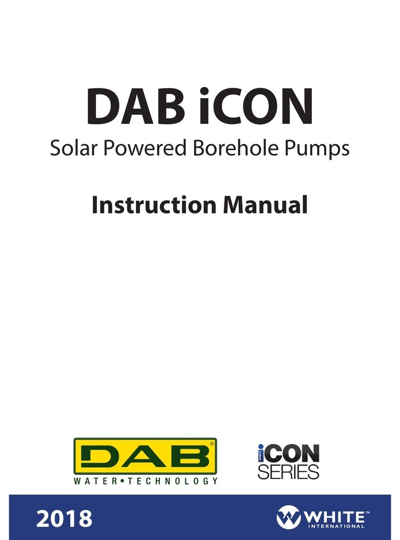 White International DAB iCON Series instruction manual
