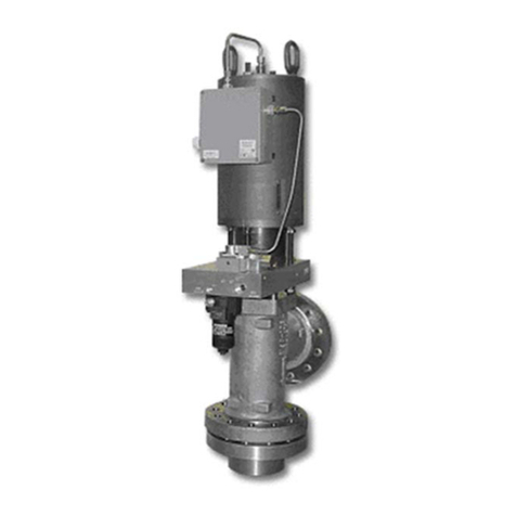 Woodward SonicFlo Installation and operation manual