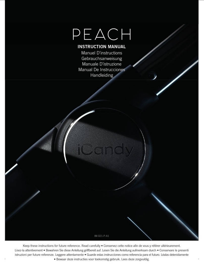 iCandy peach User manual