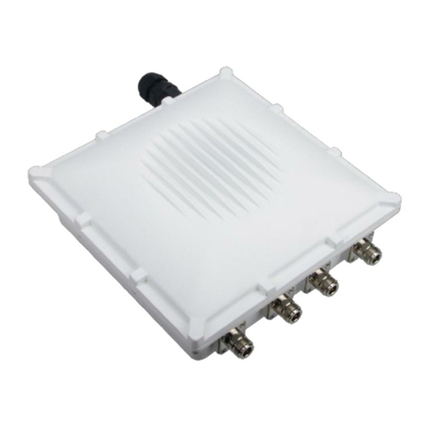 RAKwireless RAK7249 User manual