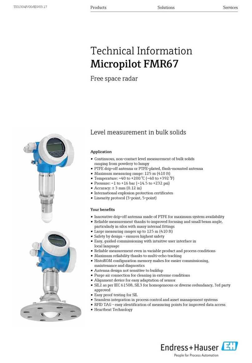 Endress+Hauser Micropilot FMR67 Manual