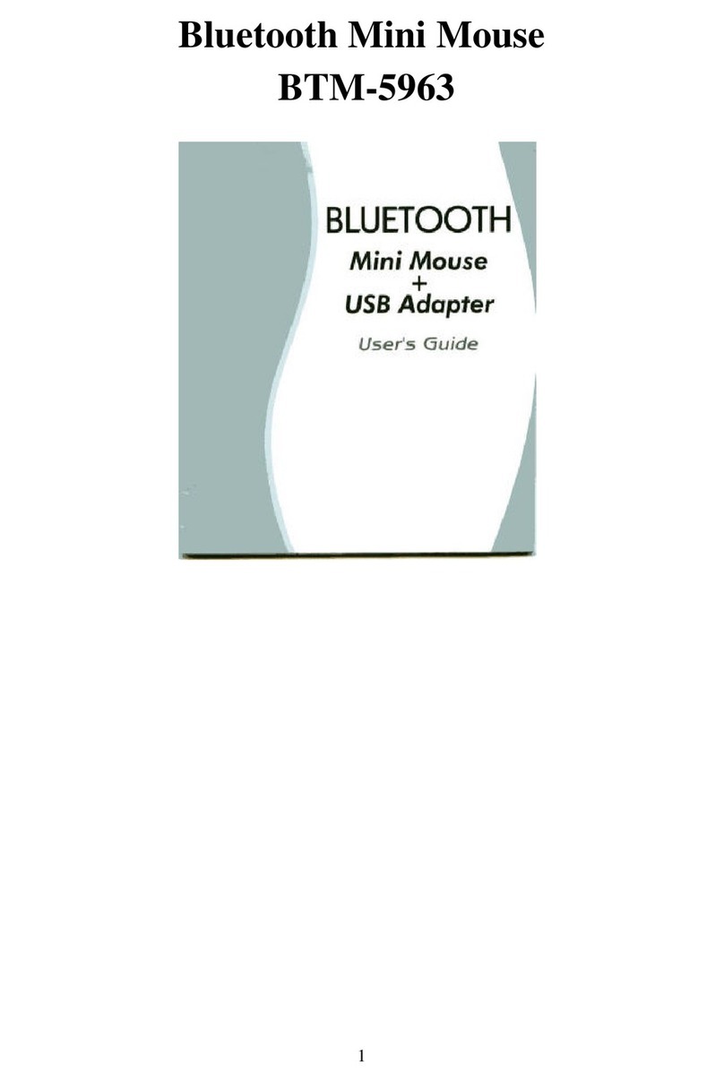 Cellink BTM-5963 User manual