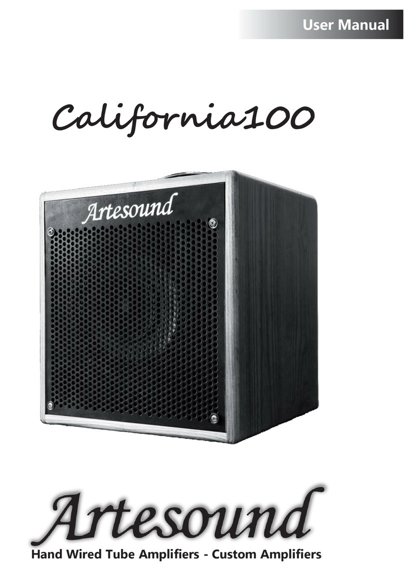 Artesound California100 user manual
