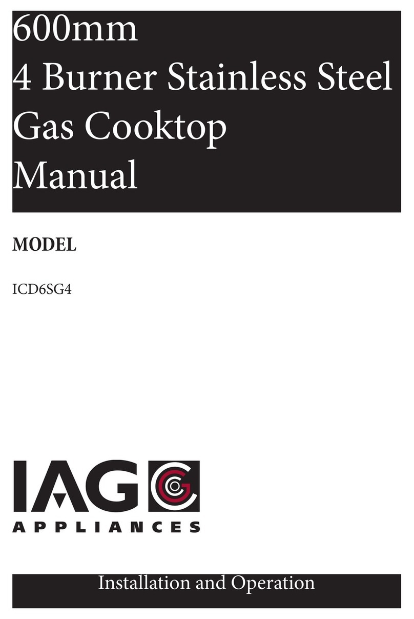 IAG ICD6SG4 User manual