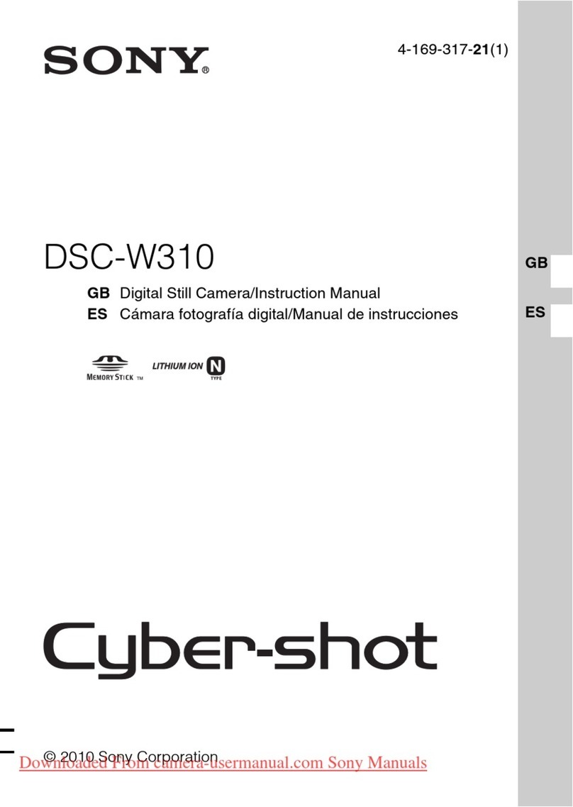 Sony Cyber-shot DSC-W310 User manual