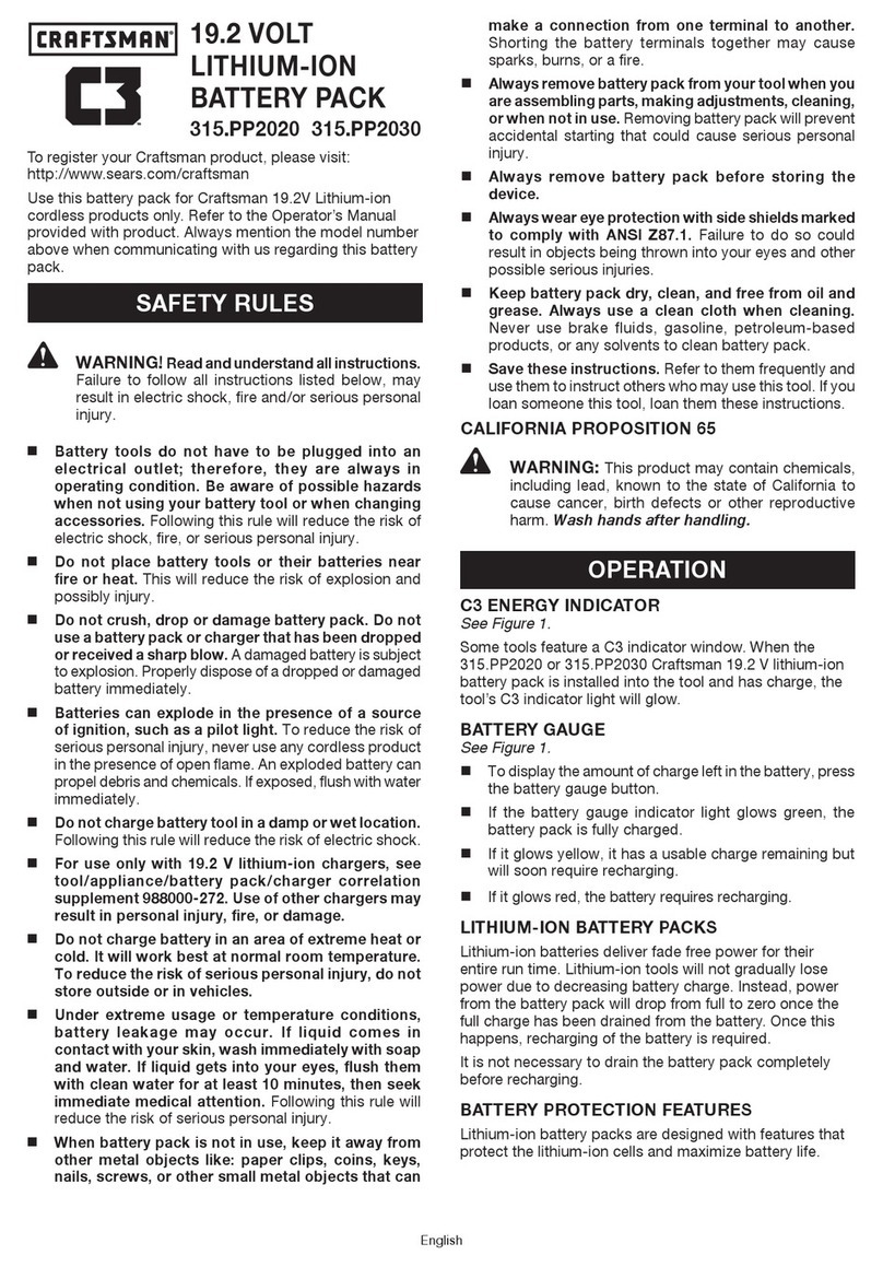 Craftsman 315.PP2020 user manual