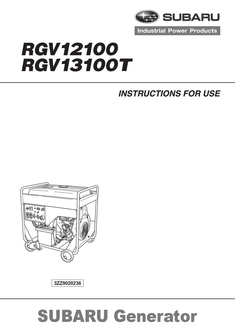 Subaru RGV12100 Instructions for use