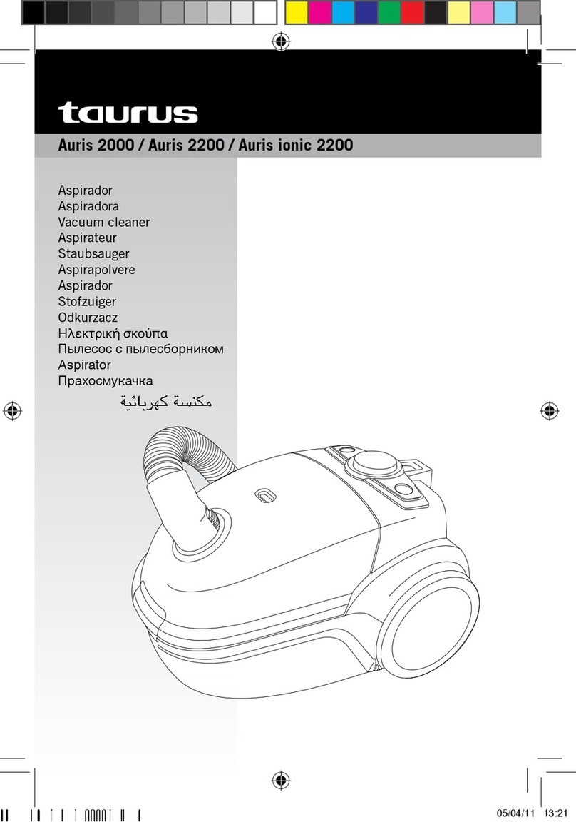 Taurus Auris 2000 instructions