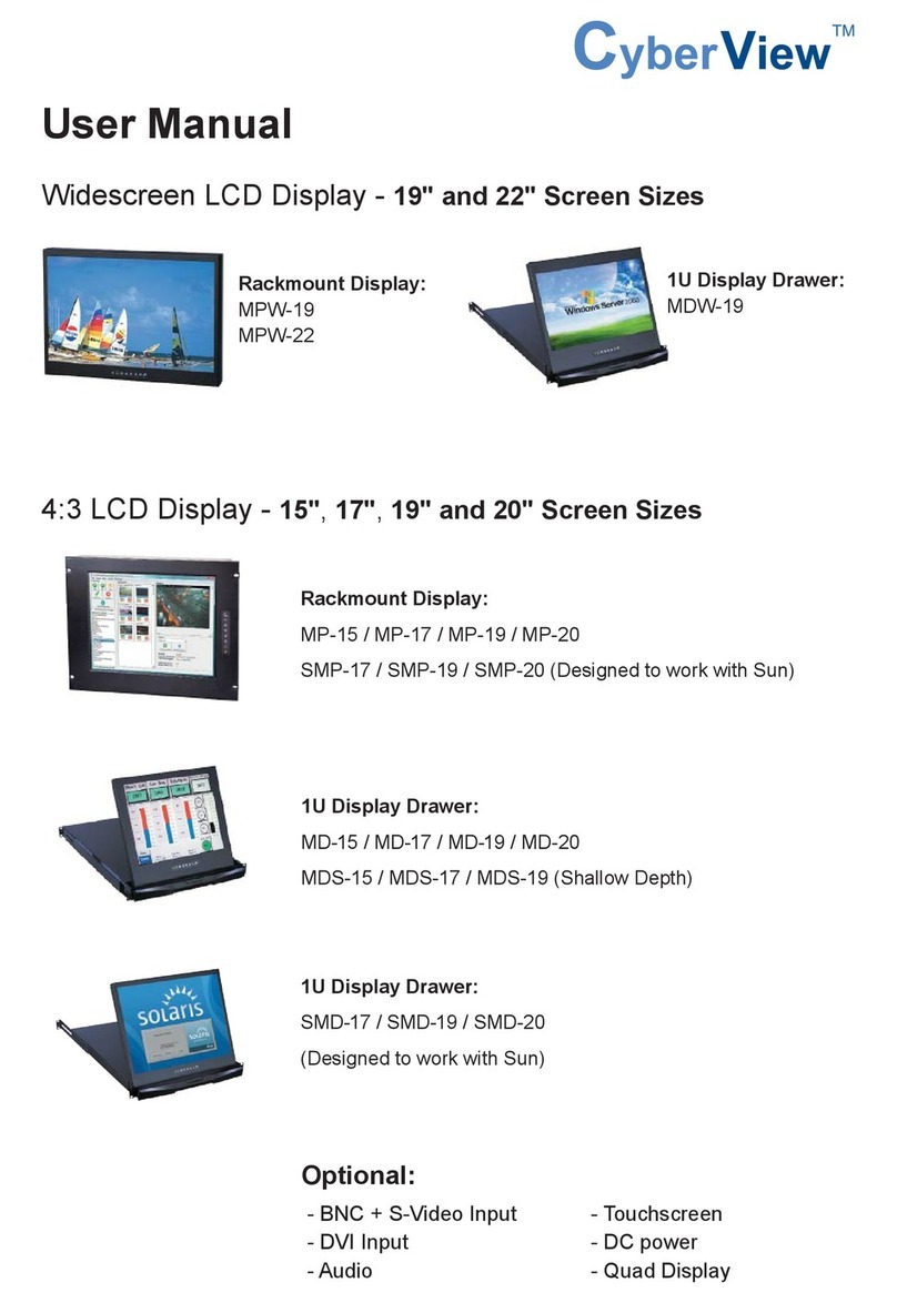 CyberView MPW-19 User manual