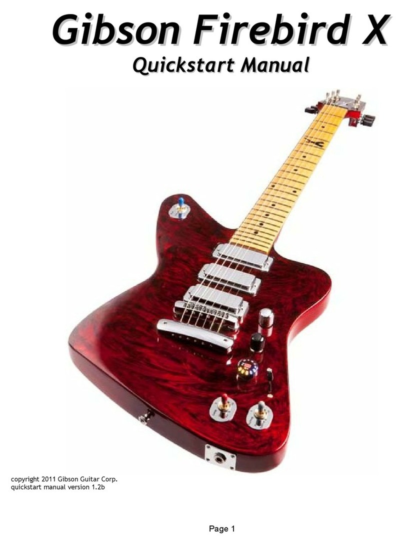 Gibson Firebird X Quick start manual