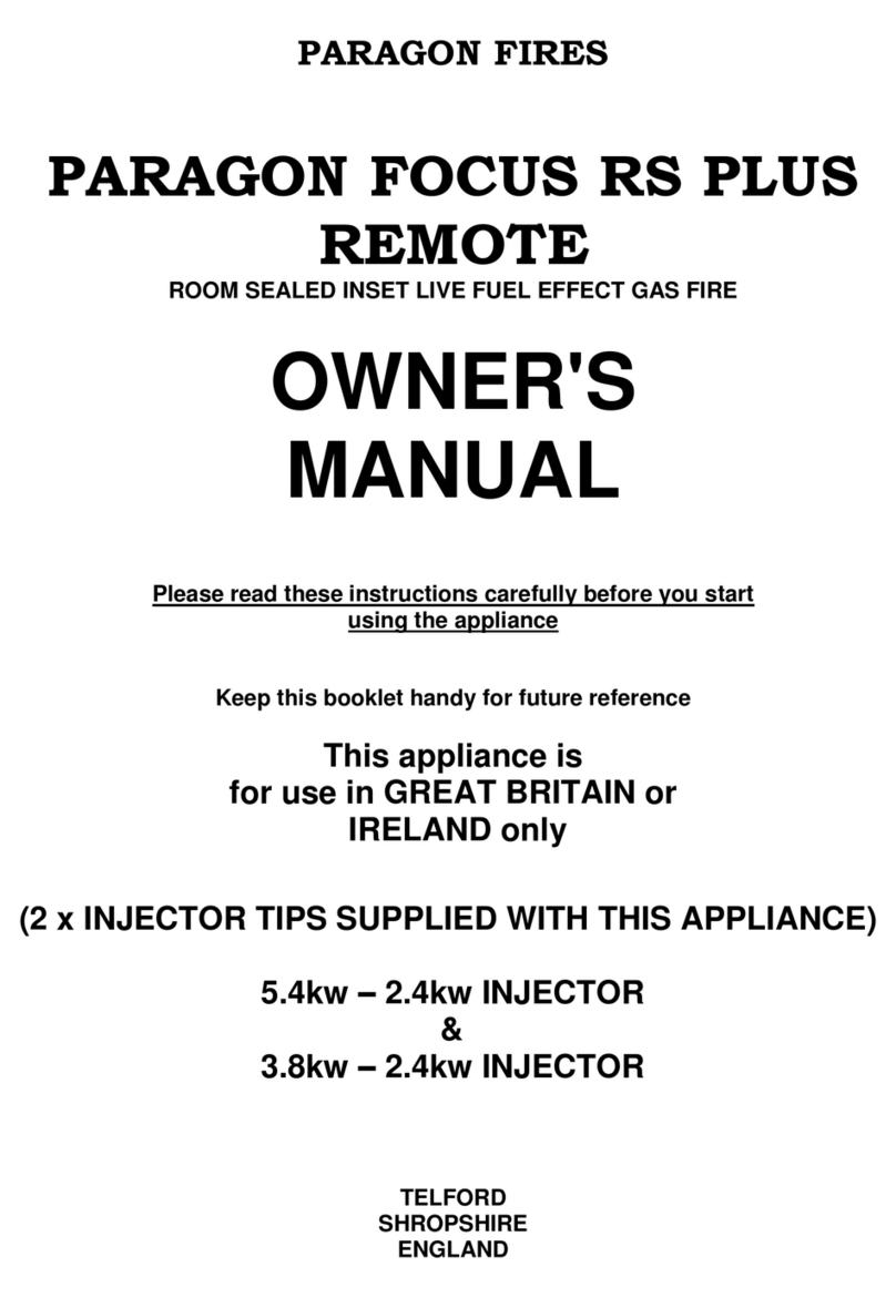Paragon Fires focus rs plus remote owner's manual