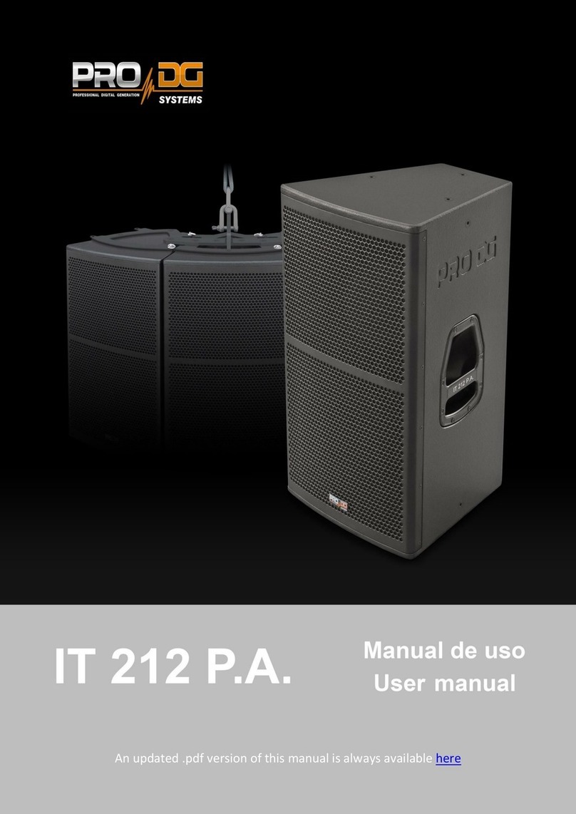 PRO DG IT 212 P.A. user manual