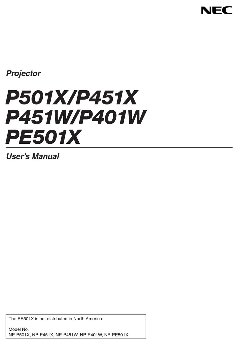 Nectre Fireplaces P501X user manual