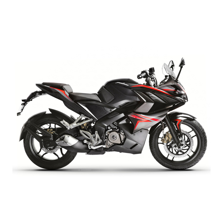 Pulsar RS 200 manual