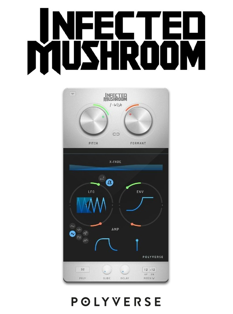 Polyverse Infected Mushroom I Wish manual