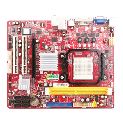 Sapphire Audio PE-AM2RS740G manual