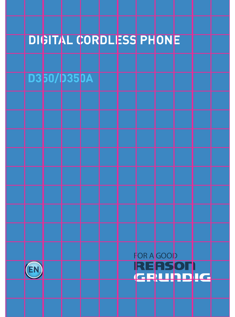 Grundig D350 manual