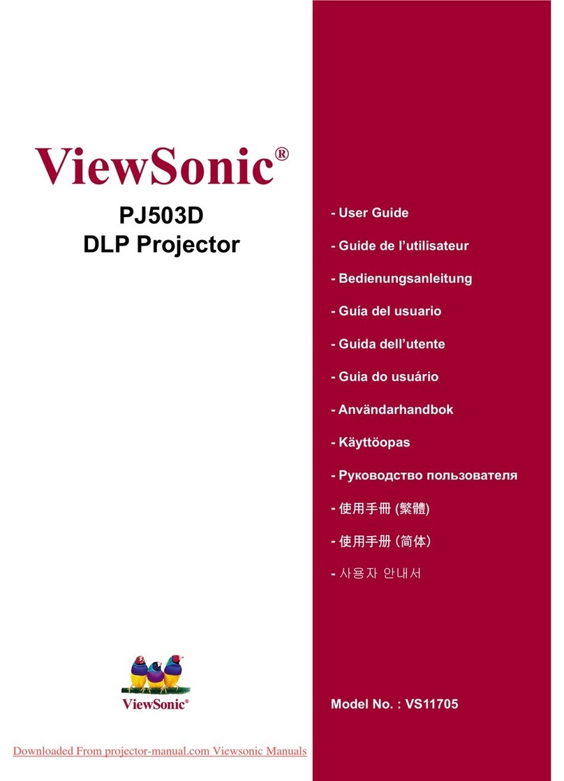 ViewSonic DP503D user guide