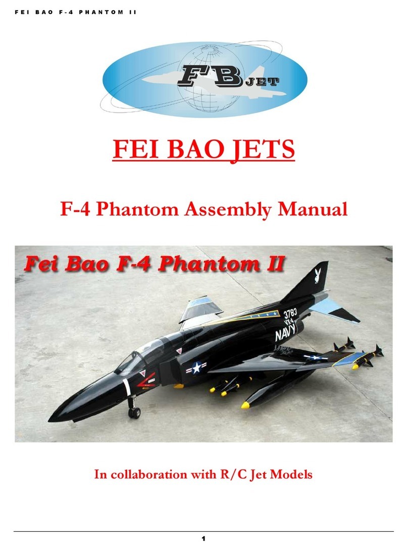 Fei Bao F-4 Phantom II User manual