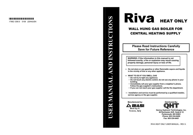 Biasi riva User manual and instructions
