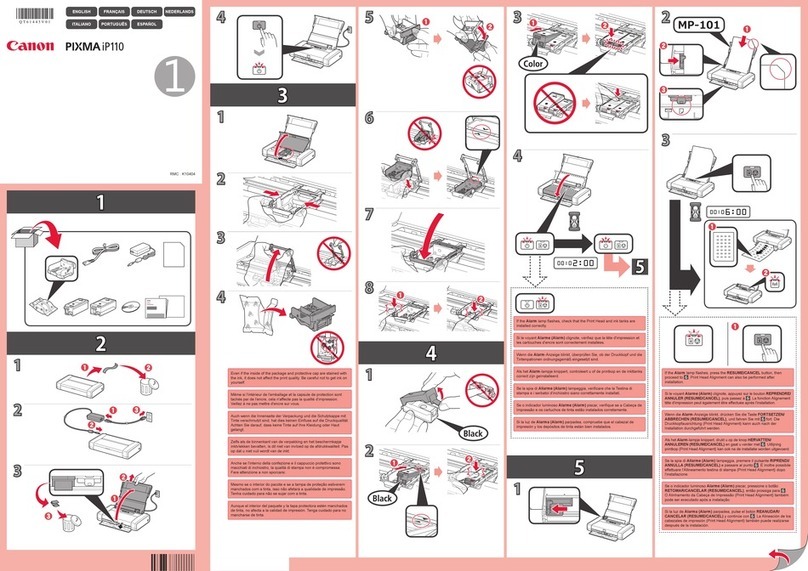 Canon Pixma iP110 series User manual