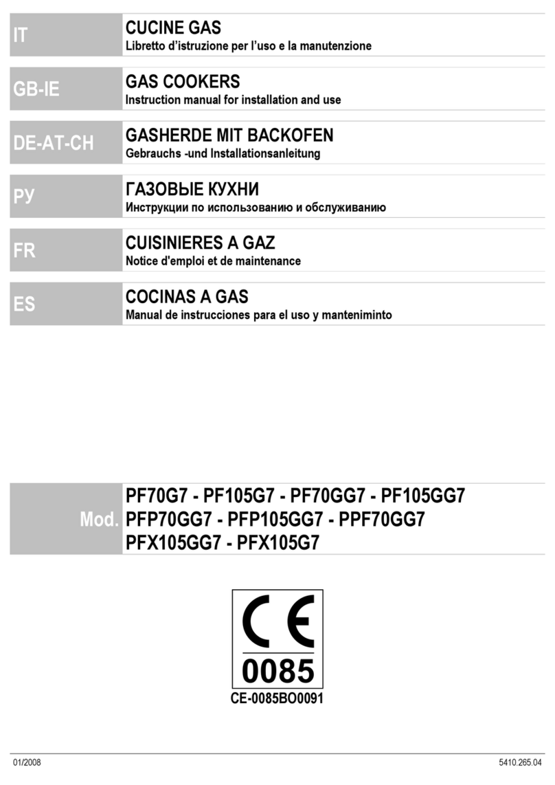 Tecnoinox PF70G7 Instruction manual for installation and use
