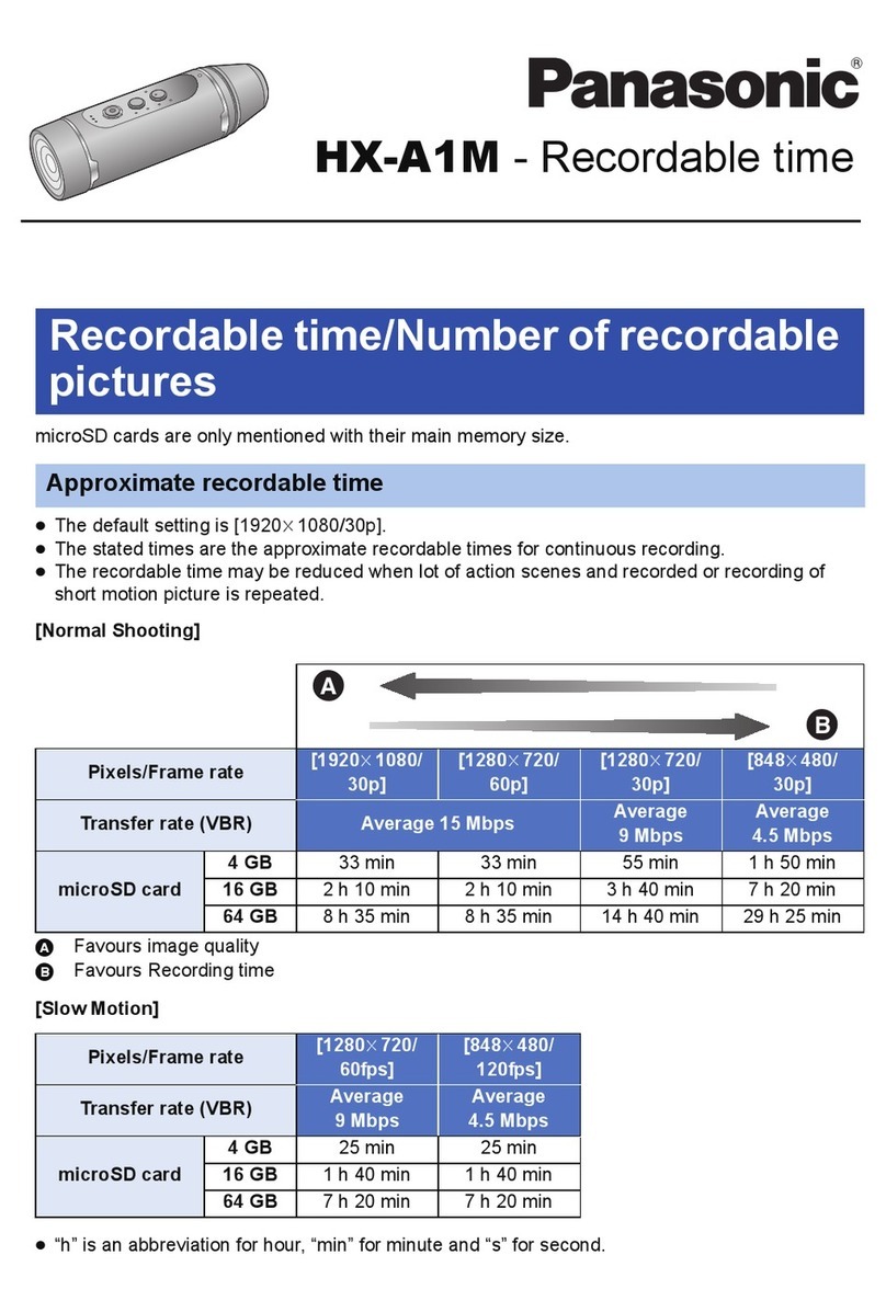 Panasonic HX-A1M manual