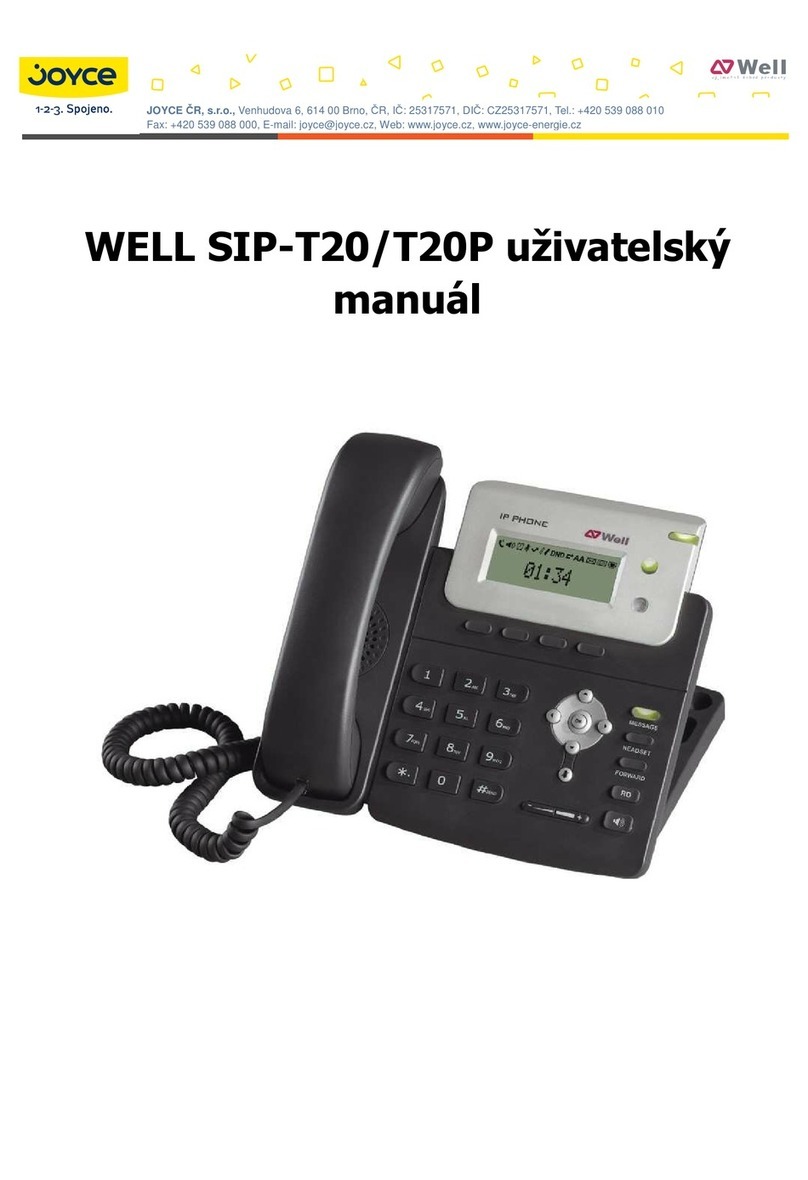 Well SIP-T20 user manual